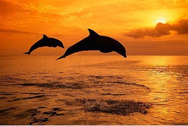 港服PS商店开启“必备精选优惠” 折扣最低至2折