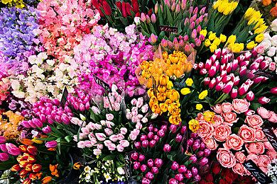 驾驶机甲对抗无尽虫潮， 像素动作Roguelike《绝境使者》eShop页面公开